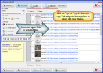 by default opened web url panel